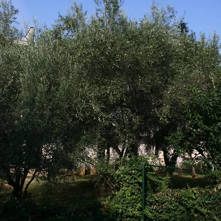 With A Parking Space - 6999 * Umag