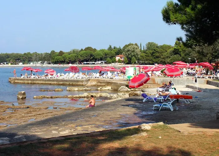 Apartamento With A Parking Space - 6999 Umag