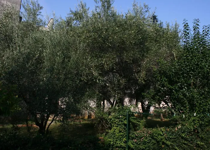 With A Parking Space - 6999 * Umag